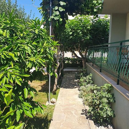 Apartman Maja 자다르 외부 사진